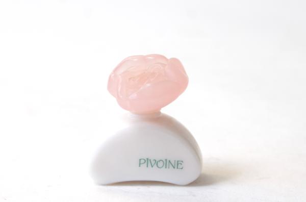 Pivoine